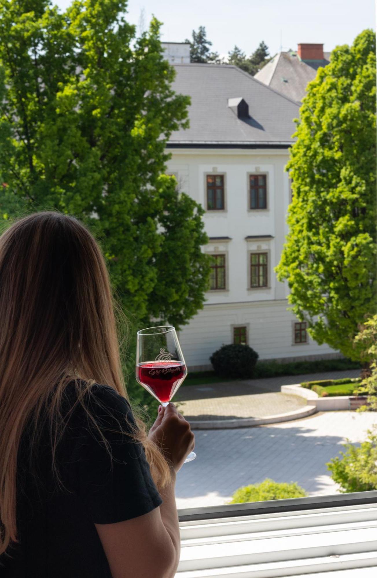 Suzy Apartman Eger Exterior photo